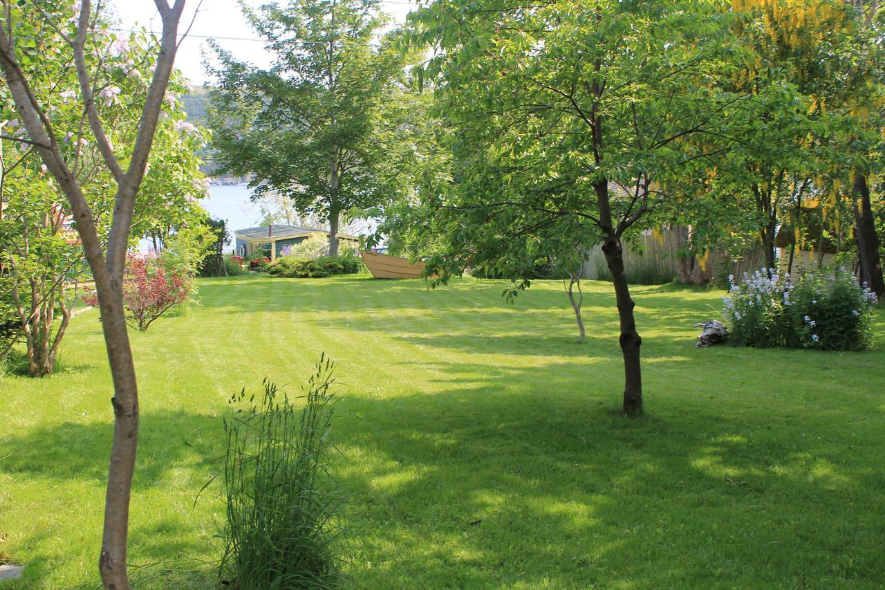 Rothesay House Heritage Inn B&B Harbour Grace Εξωτερικό φωτογραφία